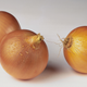 Image for article titled Sexy onions deemed too hot for Facebook